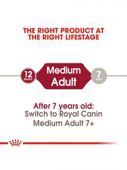 SHN MEDIUM ADULT_web3